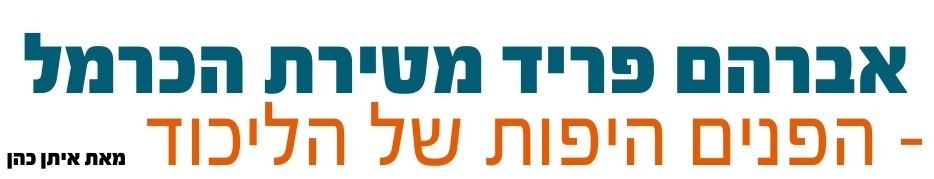 הפנים היפות של הליכוד פריד 